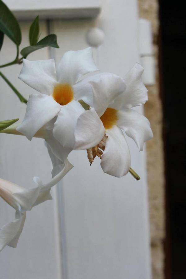 Au Garcin Bed & Breakfast La Romieu Dış mekan fotoğraf